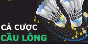 Cách Chơi Cá Cược Cầu Lông Tại WIN55: Hướng Dẫn Thân Thiện Cho Người Mới