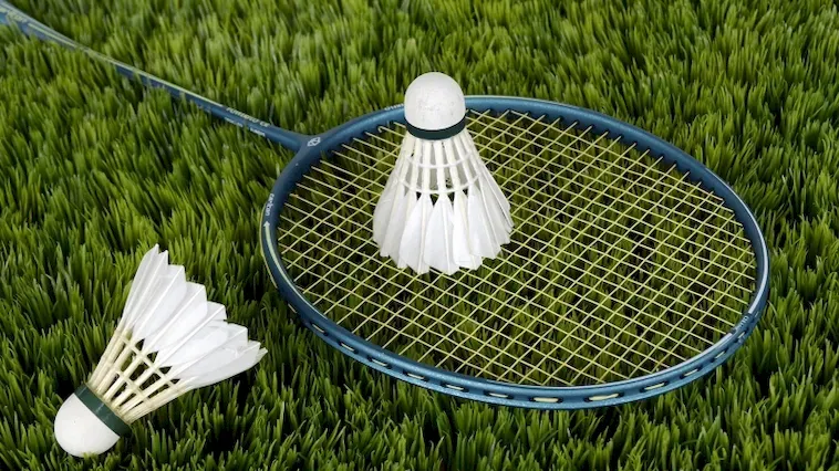 Cách Chơi Cá Cược Cầu Lông Tại WIN55: Hướng Dẫn Thân Thiện Cho Người Mới 2 Cách Chơi Cá Cược Cầu Lông Tại WIN55: Hướng Dẫn Thân Thiện Cho Người Mới