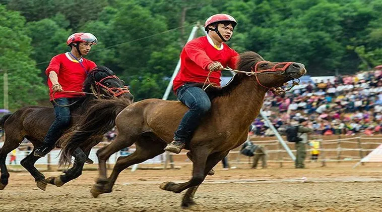 Đua Ngựa WIN55: Khám Phá Thế Giới Cá Cược Đầy Hấp Dẫn